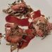 Osteria Maria Berlin - Facebook
