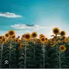 Maria Berroteran - @maria_berro44 - TikTok