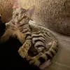 Maria G Berrones - @maria.g.berrones - TikTok