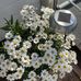 Mari Kristin Bertelsen - Facebook