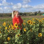 Maria Bertelsen - @fuglenia - Instagram