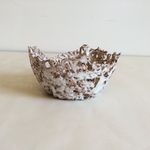 Maria Bertini - @mbm.ceramics - Instagram