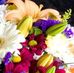 Maria Bertini - Facebook