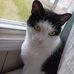 Maria Berube - Facebook
