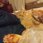 Maria Christina Couillard Berube - @qunblckhrt13 - Instagram
