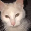 Mam_rysia9833 - @mariabester - TikTok