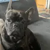 Maria Beyer - @maria.beyer32 - TikTok