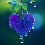 Maria Biddle - Facebook