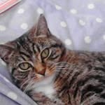Maria Biddlecombe - @mariabiddlecombe - Instagram
