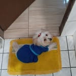 Maria Bier - @gracinha5247 - Instagram
