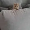 mariabier438 - @mariabier438 - TikTok