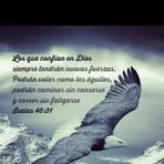 Maria Bierd - Facebook