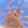maria_biggs - @maria_biggs - TikTok