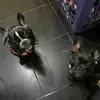 Maria & Billy - @mariabilly3 - TikTok