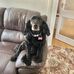 Maria Birch - Facebook