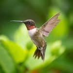 maria bird - @mariabird2024 - Instagram