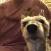 maryblackledge - @maryblackledge - TikTok
