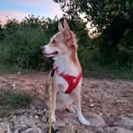 Maria Blay - Facebook