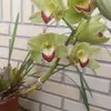 Elba Maria Blois Aita - @elbamariabloisait - TikTok