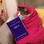 María Bolaños - @mariaaaj07priv - Instagram