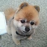 Maria Boren - @maria.boren.73 - Instagram