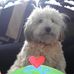 Mario Bourassa - Facebook
