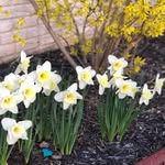 Maria Branham - @maricarmen0762 - Instagram
