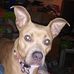 Marie Branham - Facebook