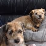 Maria Bratton - @mariabratton1965 - Instagram