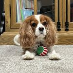 Maria Breen - @breen1893 - Instagram