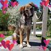 Maria Brenner - Facebook