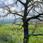 Maria Brenner - @brenner6298 - Instagram