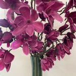 Maria Broome - @bloomsbybroome - Instagram