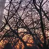 mariabuffington33 - @mariabuffington33 - TikTok