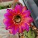 Marie Buffington - Facebook