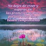 Maria Bunch - @rosalba9290 - Instagram