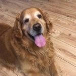 Maria Bunch - @maria.bunch.507 - Instagram