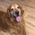 Maria Bunch - Facebook