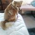 Maria Burks - Facebook