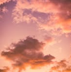 Maria Burns - Facebook