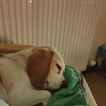 Maria Burns - @maria.burns.716 - Instagram