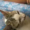 maria_burns - @maria_burns - TikTok
