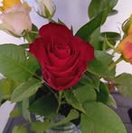 Maria Buttaro - Facebook