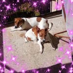 Maria Rita Buttaro - @buttaromariarita - Instagram