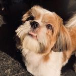 Benjamin Maria Button ❤️ - @benjiiiiboi - Instagram