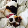 ButtonsMaria - @buttonsmaria - TikTok