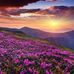 Maria Byrnes - Facebook