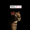 Maria cady🫶🏻👸🏻💋🔥 - @maria881186 - TikTok