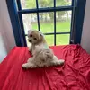 Maria Caico - @user91417506752331 - TikTok