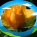 Maria Cando - Facebook